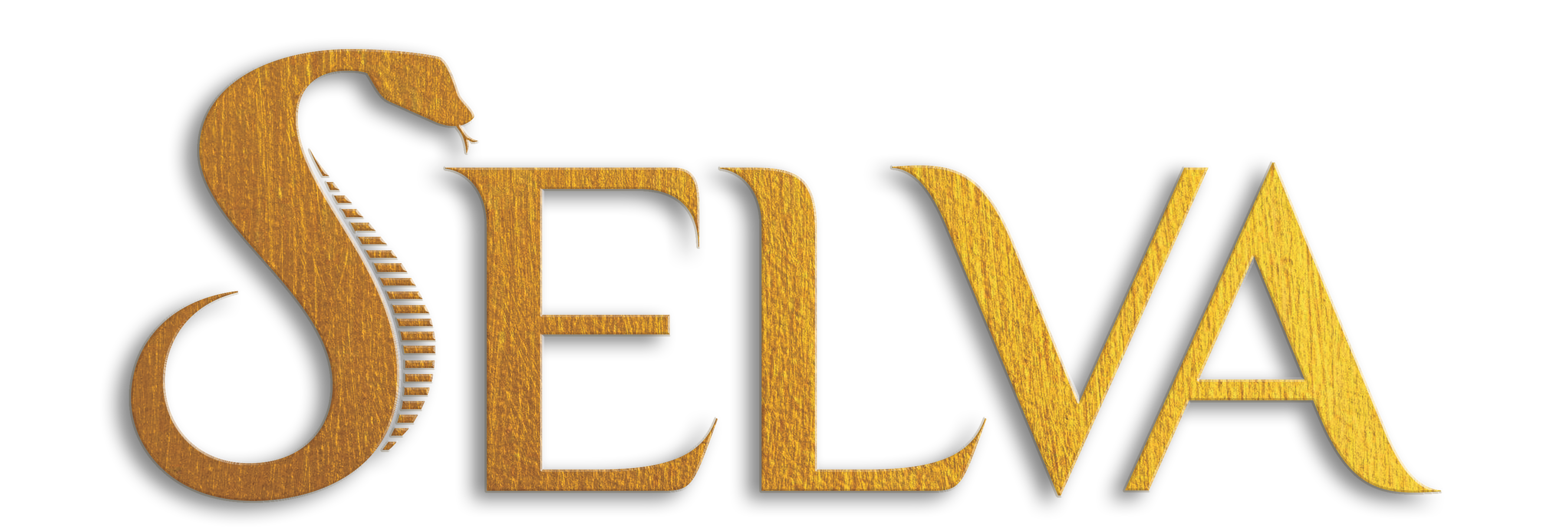 Miami logo