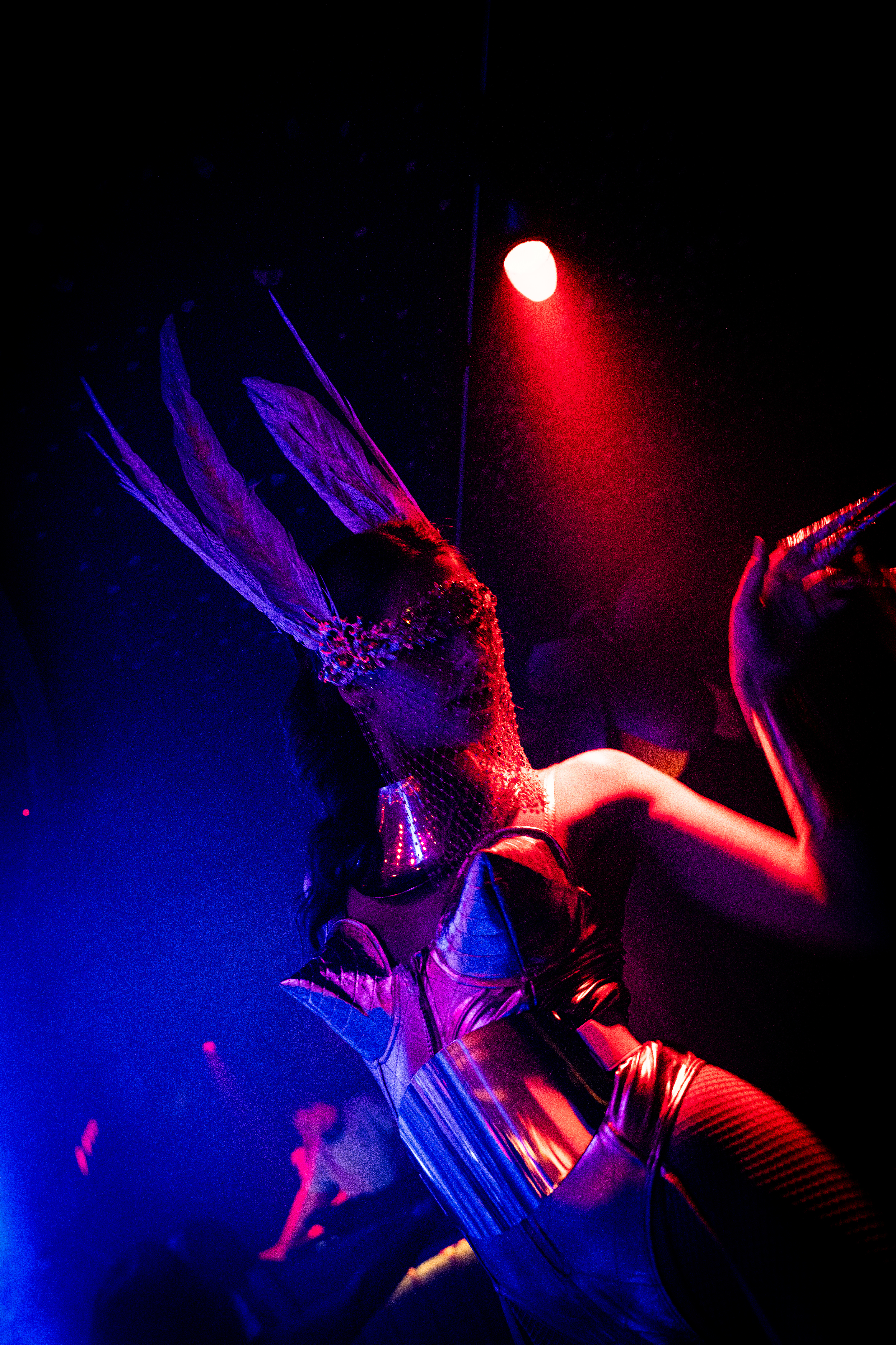 RÉVEILLON DU NOUVEL AN: SELVA LOCA event