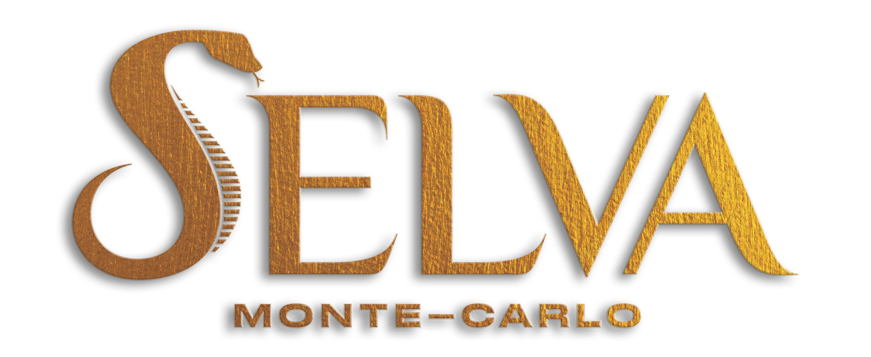 Monte-Carlo logo